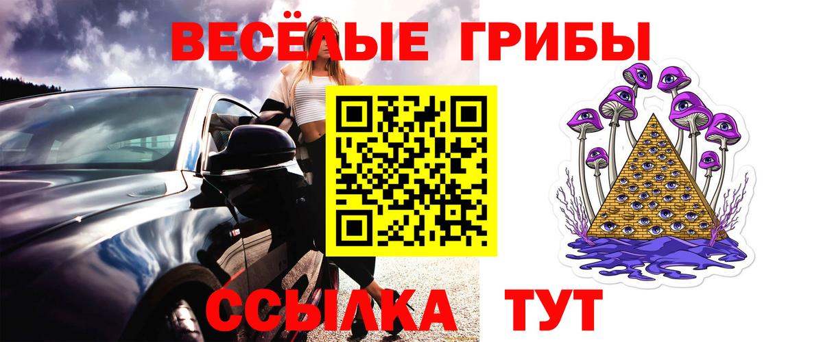 Галлюциногенные грибы GOLDEN TEACHER Зеленокумск