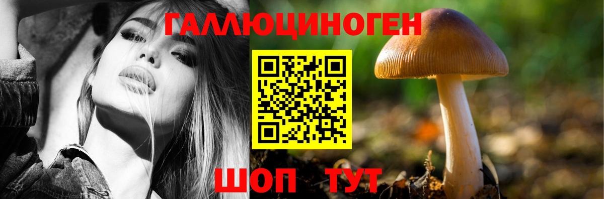 Галлюциногенные грибы MAGIC MUSHROOMS  Галлюциногенные грибы ЛСД  Вход с VPN  Зеленокумск 